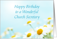 Birthday Card With Daisies for Church Secretary card