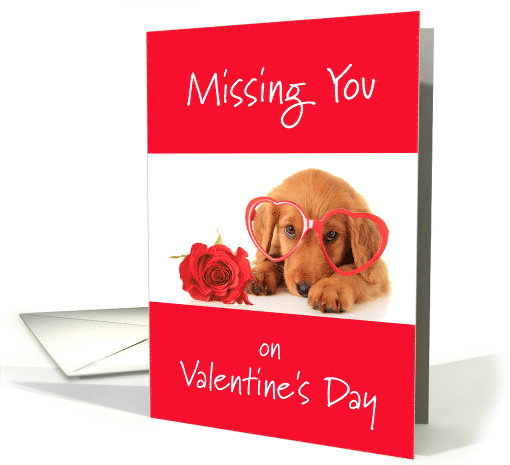 Missing You On Valentine's Day Puppy In Red Glasses With Rose card