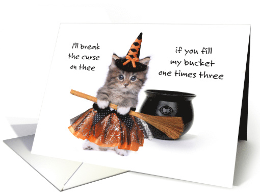 Kitty Witches Spell Casting For Candy With Broom And Cauldron card