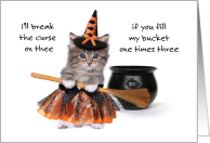 Kitty Witches Spell Casting For Candy With Broom And Cauldron card