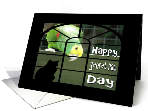 Happy Secret Pal Day-Parrot-Cat-Humor card (827380)