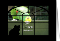 Love Knows No Bounds-Parrot-Cat Silhouette card
