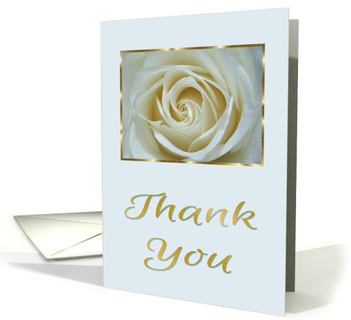 Thank You With A Beautiful White Rose And Gold and Blue Frame card