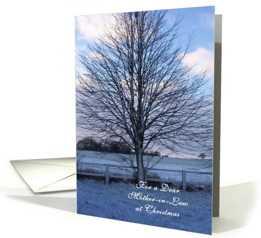 Mother-In-Law Christmas Card - Snowy Landscape card (282313)