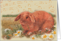 Conductor’s Birthday Musical Notes Sweet Bunny card