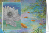 Cancer Patient Encouragement Goldfish & Waterlily card