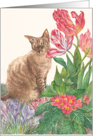Kitty Tulip Lesbian True Love card