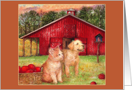 Pup Kitten Barn Thank You Petsitter card