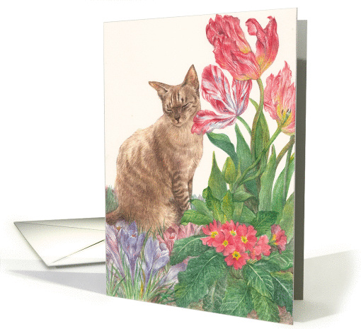 Tabby Cat Thank You Veterinarian card (775828)