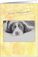 Thank You Groomer English Spaniel Illustration card