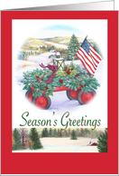 Season’S Greetings Winter Patriotic Traditional Landscape card