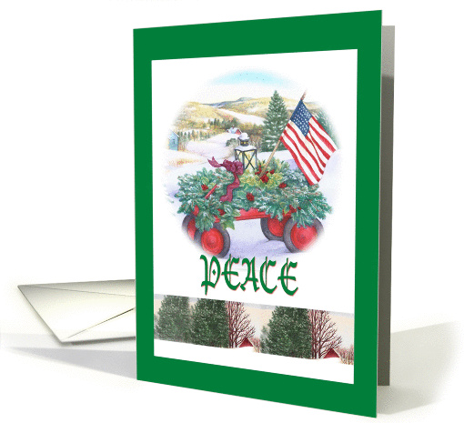 Peace Winter Patriotic Traditional Landscape card (873888)