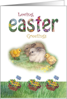 Hoppy Easter Bunny & Chick illustration card
