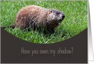 Have you seen my shadow? Happy Ground Hog’s Day card