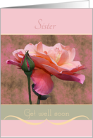 Sister Get well soon Roses card