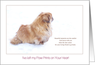 Beautiful Memories Pekingese Dog Sympathy card