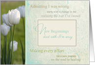 New Beginnings I’m Sorry White Tulips card