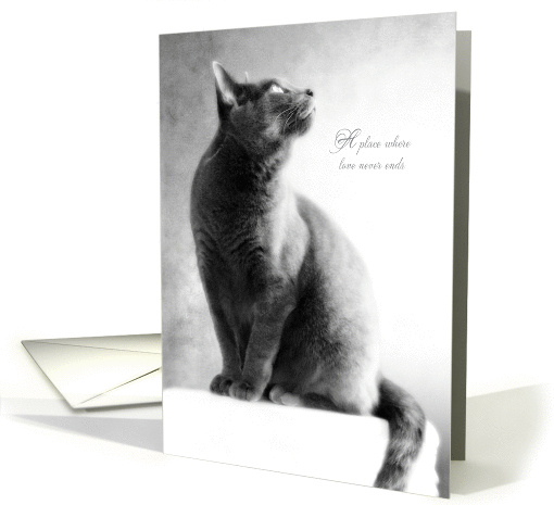 The Light of Heaven cat sympathy card (1372140)