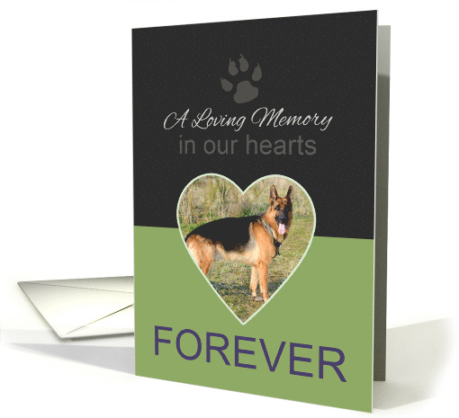 In Our Hearts Forever DOG Loss Announcement Photo card (1372328)
