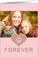 Pink paw print CAT sympathy photo card