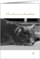 Precious Loss cat sympathy card