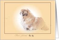Pekingese Heaven Dog sympathy card