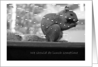 Squirrel ’We should do lunch’ card