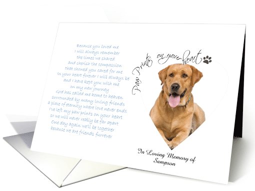 Paw Prints On Your Heart Pet Sympathy custom photo card (860047)
