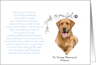 Paw Prints On Your Heart Pet Sympathy custom photo card