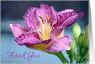 Magenta Lily Flower Thank You card