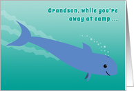 Grandson Away at Camp Porpoise Diving into the Ocean Fun card