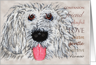 Olde English Sheepdog Loss card