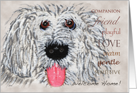 Pet Services Business Welcome Home card