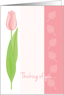 Pink Tulip Thinking of You After Loss Falling Aspen Leaves on Stripes card