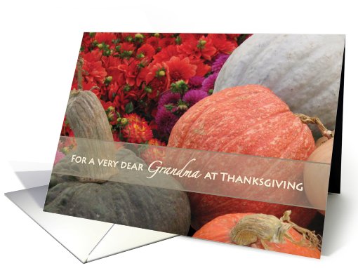 Thanksgiving Grandma Flowers Gourds card (500067)