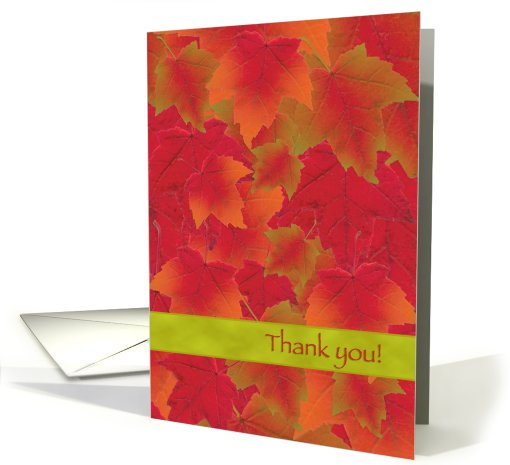 Thanksgiving Thank You Autumn Leaves Colorful card (501880)