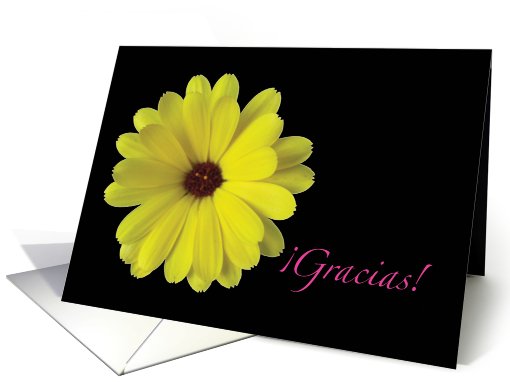 Spanish Gracias Thank You Yellow Flower card (519270)
