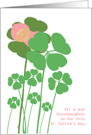St. Patrick’s Day Granddaughter Baby’s First card