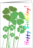 Birthday St. Patrick’s Day Shamrocks Rainbow Text card
