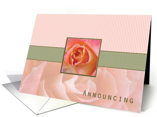 Elopement Announcement, Rose Contemporary in Pink and Green card