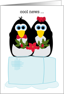 Christmas Pregnancy Expecting Baby Announcement with Penguins card