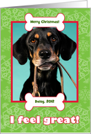 Veterinarian Christmas Photo Card from Dog with Bones and Snowflakes card