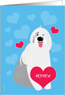 Nephew Valentine’s Day Cute Dog Old English Sheepdog Red Hearts card