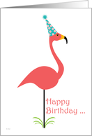Fun Happy Birthday for a Classy Person Lawn Flamingo in Party Hat card