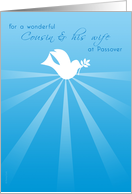 Cousin and Wife at Passover Peace Dove with Olive Branch on Blue card
