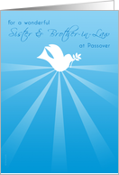 Sister and Brother-in-Law Passover Peace Dove with Olive Branch on Blue card