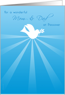 Mom and Dad Passover Peace Dove with Olive Branch on Blue card