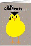 Fun High School Graduation Congratulations for Girl One Smart Chick card