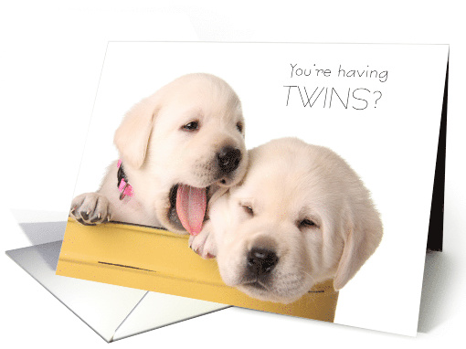 Pregnant with Twins Congratulations Cute Puppies card (1220462)
