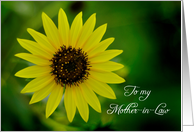Happy Mother-in-Law Day Sunflower card